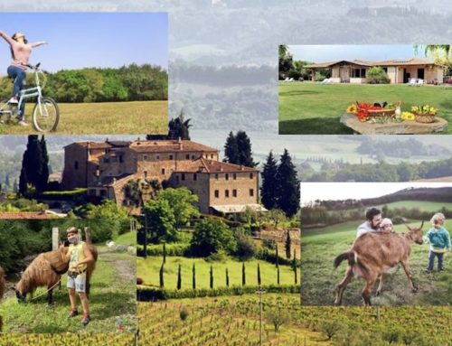 Corso GRATUITO “OPERATORE AGRITURISTICO”
